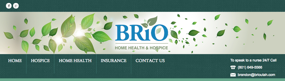 Job Listings BRiO Home Health Hospice Jobs